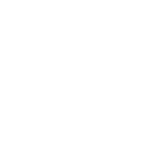 Pig Slaughtering Equipment