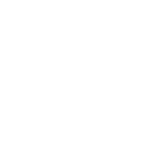 Cattle Slaughtering Equipment