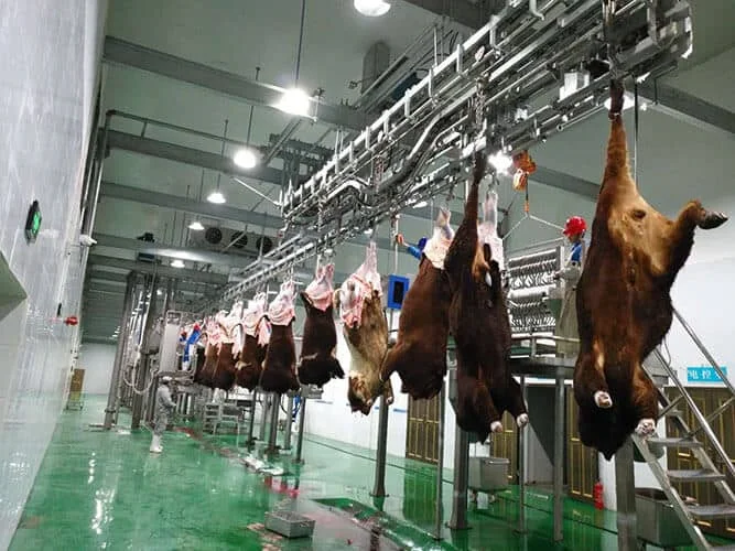 How To Buy Slaughter Equipment