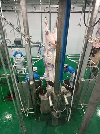 Cattle Skin Peeler