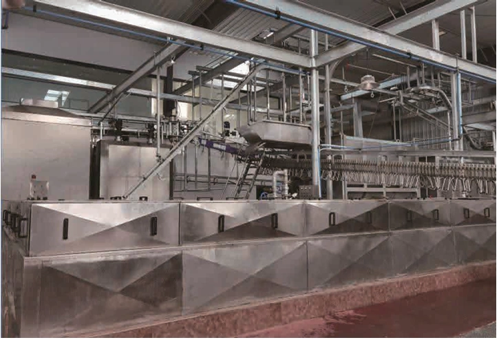 Continuous Hog scalding system