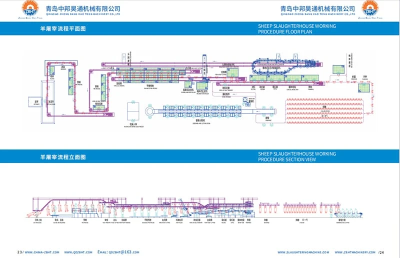 Slaughtering Operation Standards for Sheep