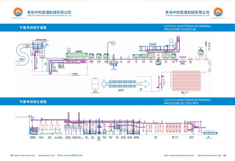 Cattle slaughtering procedure