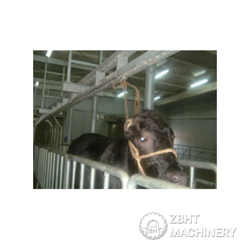 Cattle dragging machine