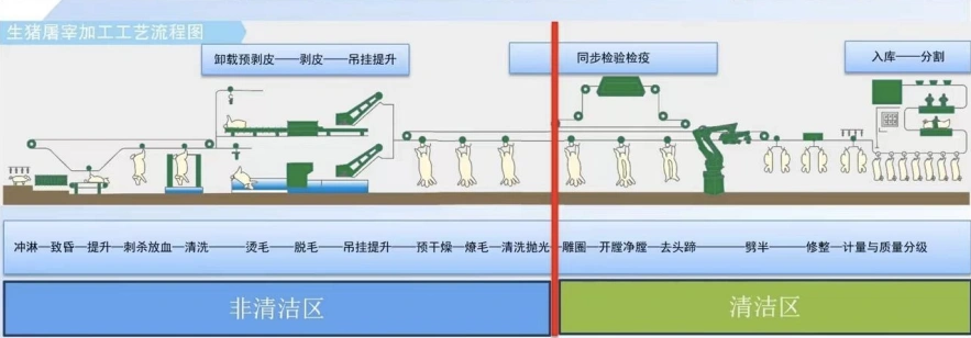 Division of the processing area in the  pig slaughterhouse workshop