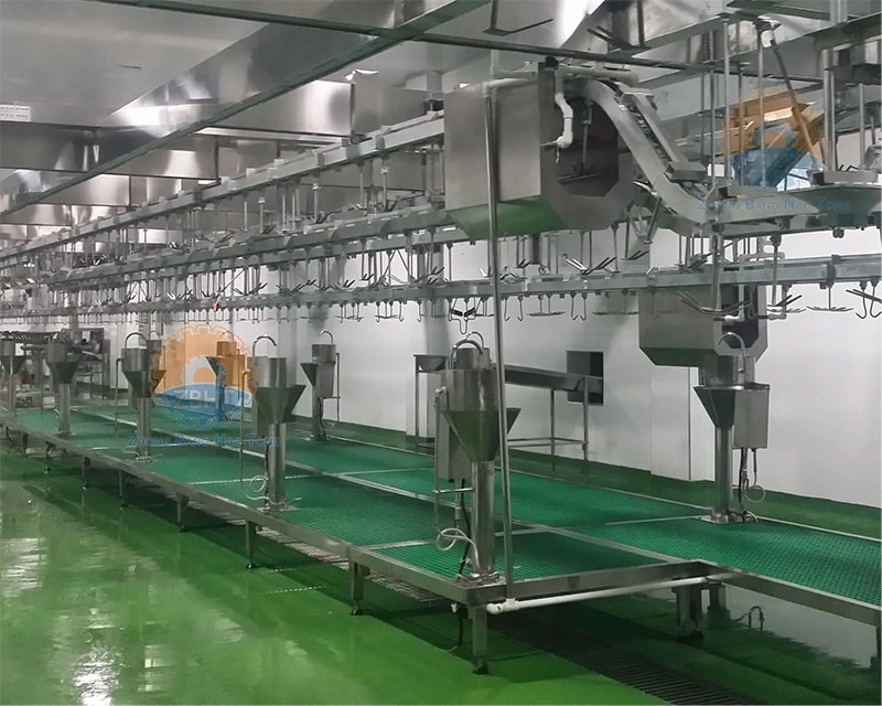 Interpretation of Hot Water Temperature Requirements for Disinfection in Slaughter Rooms