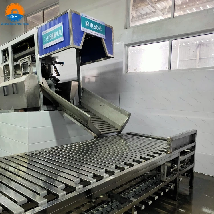 Select the appropriate electric stun slaughter equipment for pigs