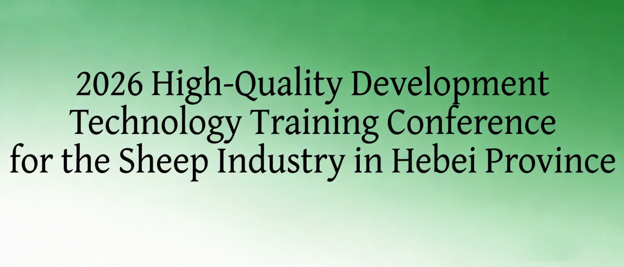 2026 High-Quality Development Technology Training Conference for the Sheep Industry in Hebei Province