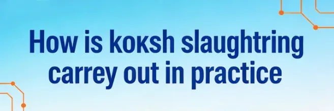 How is kosher slaughtering carried out in practice