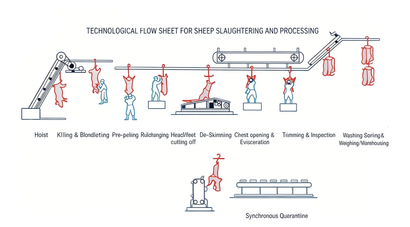 Complete Sheep Slaughtering Line Process Qingdao Zhongbang Haotong Machinery Co., Ltd.