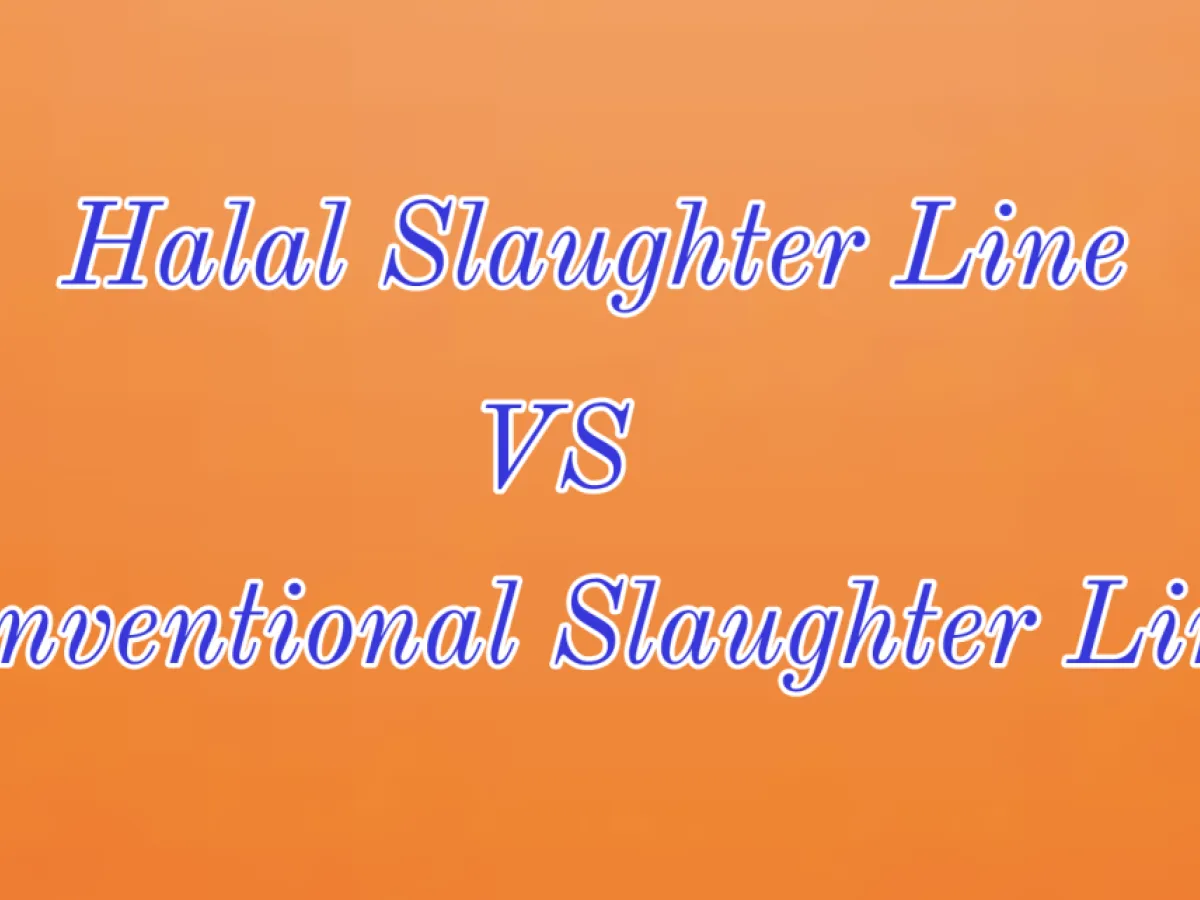 Halal Slaughter Line vs. Conventional Slaughter Lines