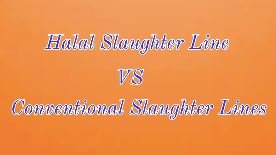 Halal Slaughter Line vs. Conventional Slaughter Lines