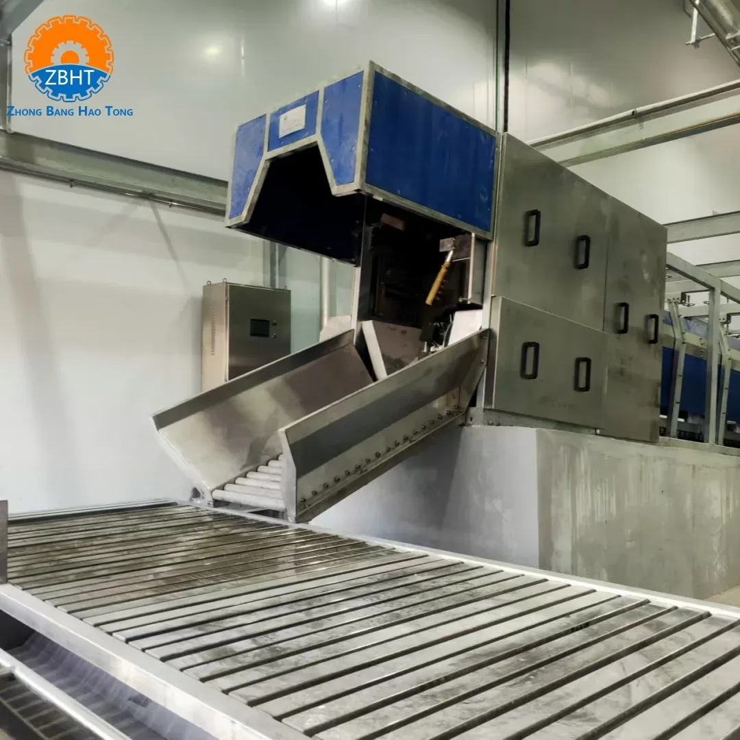 Automatic Three-Point Electrical Stunning Conveyor